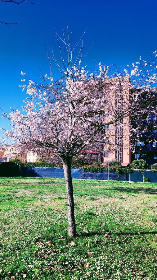 Bologna Vista Parco Apartment 2 Letti Matrimoniali 外观 照片